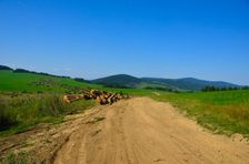 Náhorná plošina Svorad