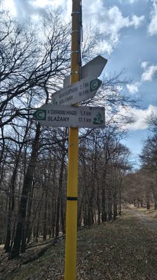 Rázcestník