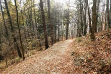 Na Folkmársku skalu