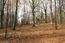 Na Folkmársku skalu