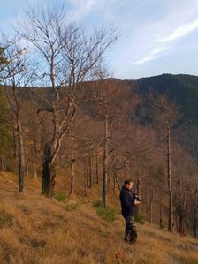 Skalna Alpa od zapadneho hrebienka Smrekovice