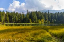 Vrbické pleso