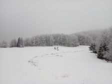 Hruba kačka