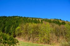 Kováčová, omladina