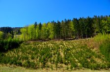 Kováčová, omladina