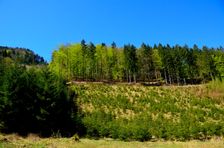 Kováčová, omladina