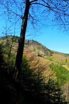 Kováčová (Ostrá) 947m