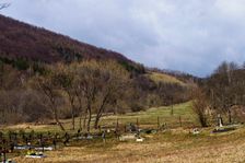 Zabudnutý cintorín