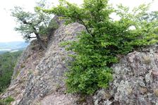 výhliadka v Dolnej Klape