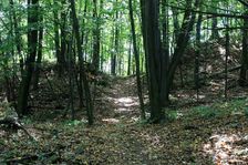 vstup na Pustý hrad