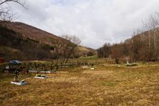 Zabudnutý cintorín