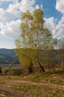 Volovské vrchy