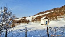 Vodní zdroj  v chotári obce Selec