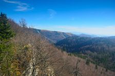 Bystrická dolina & Košarisko 1259m & Malá Krížna 1319m