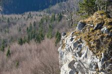 Mošovská 1305m, bralo