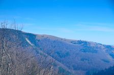 Bystrická dolina & Malá Krížna 1319m