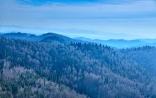 Črchľa 1207m, bralá & Dedkovo 902m & Košiar 944m & Krásny kopec 1234m