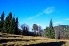 Smrekovica, horská lúka