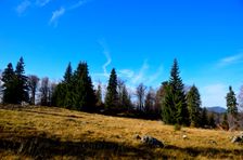 Smrekovica, horská lúka