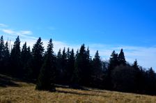 Smrekovica, horská lúka