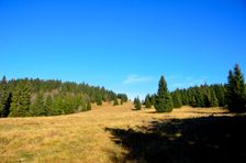 Smrekovica 1401m & 1413m