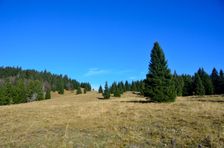 Smrekovica 1401m & 1413m