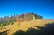 Marková skala 1390m