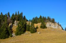 Marková skala 1390m
